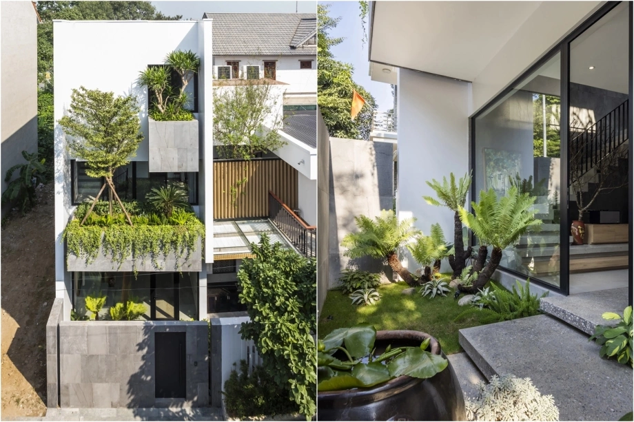 Cải tạo biệt thự tại Hà Nội - Kiến trúc xanh và không gian mở