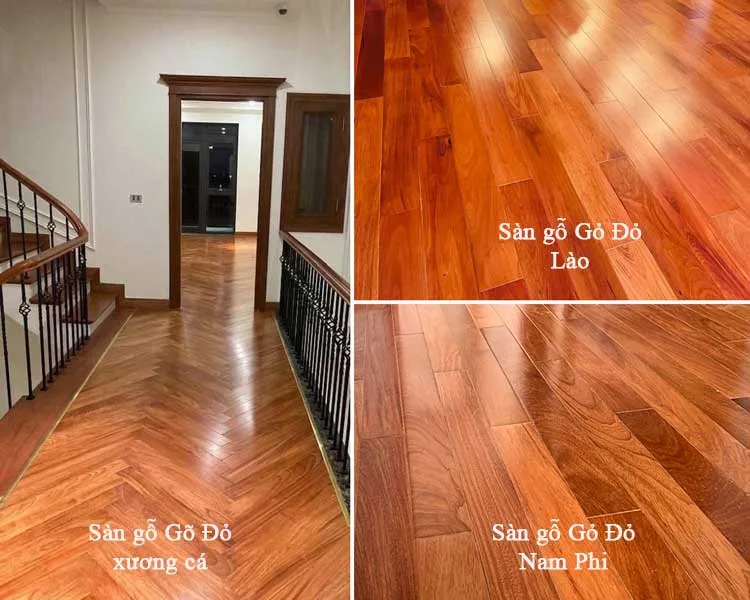 Xuất xứ và thương hiệu